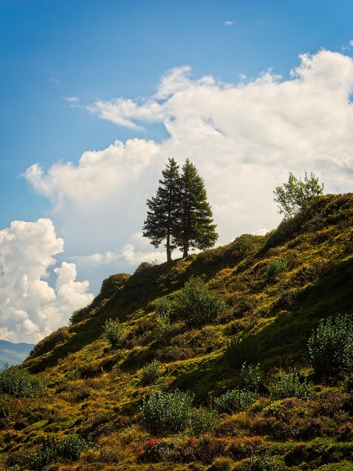 Bild ohne Beschreibung Bild ohne Beschreibung
