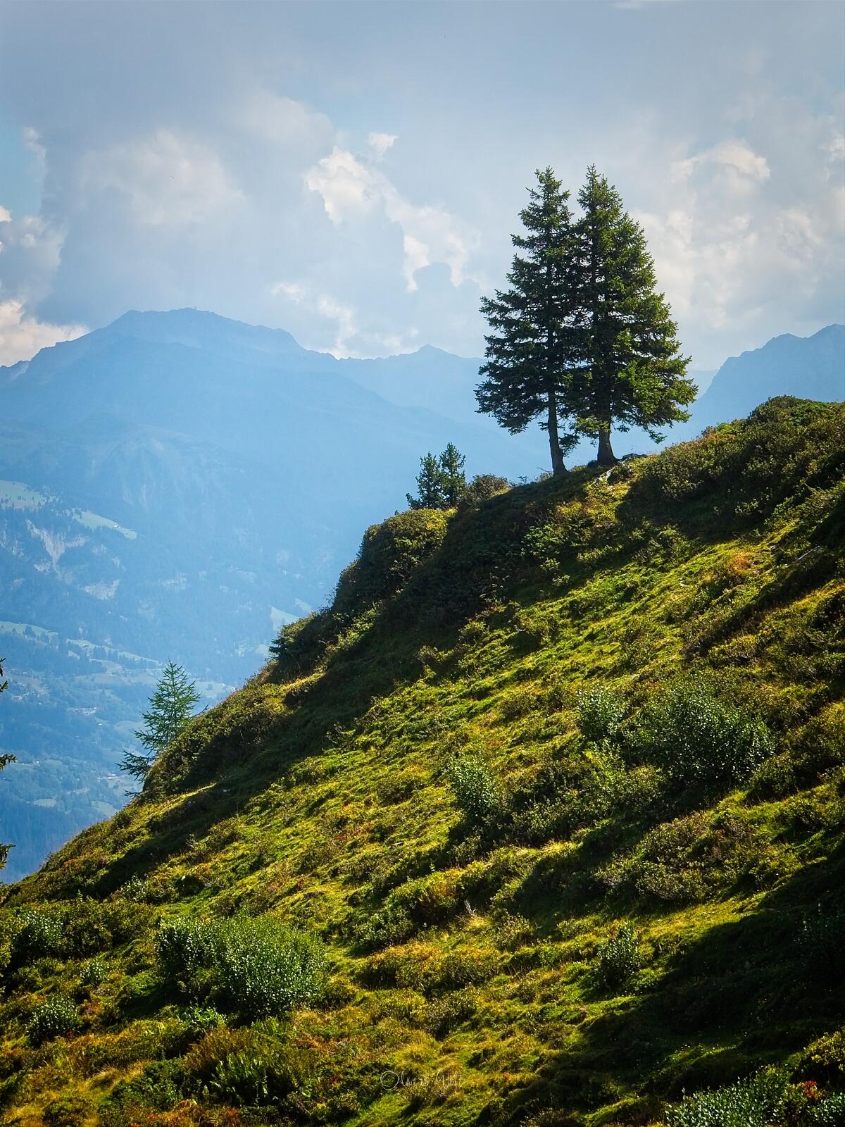 Bild ohne Beschreibung Bild ohne Beschreibung