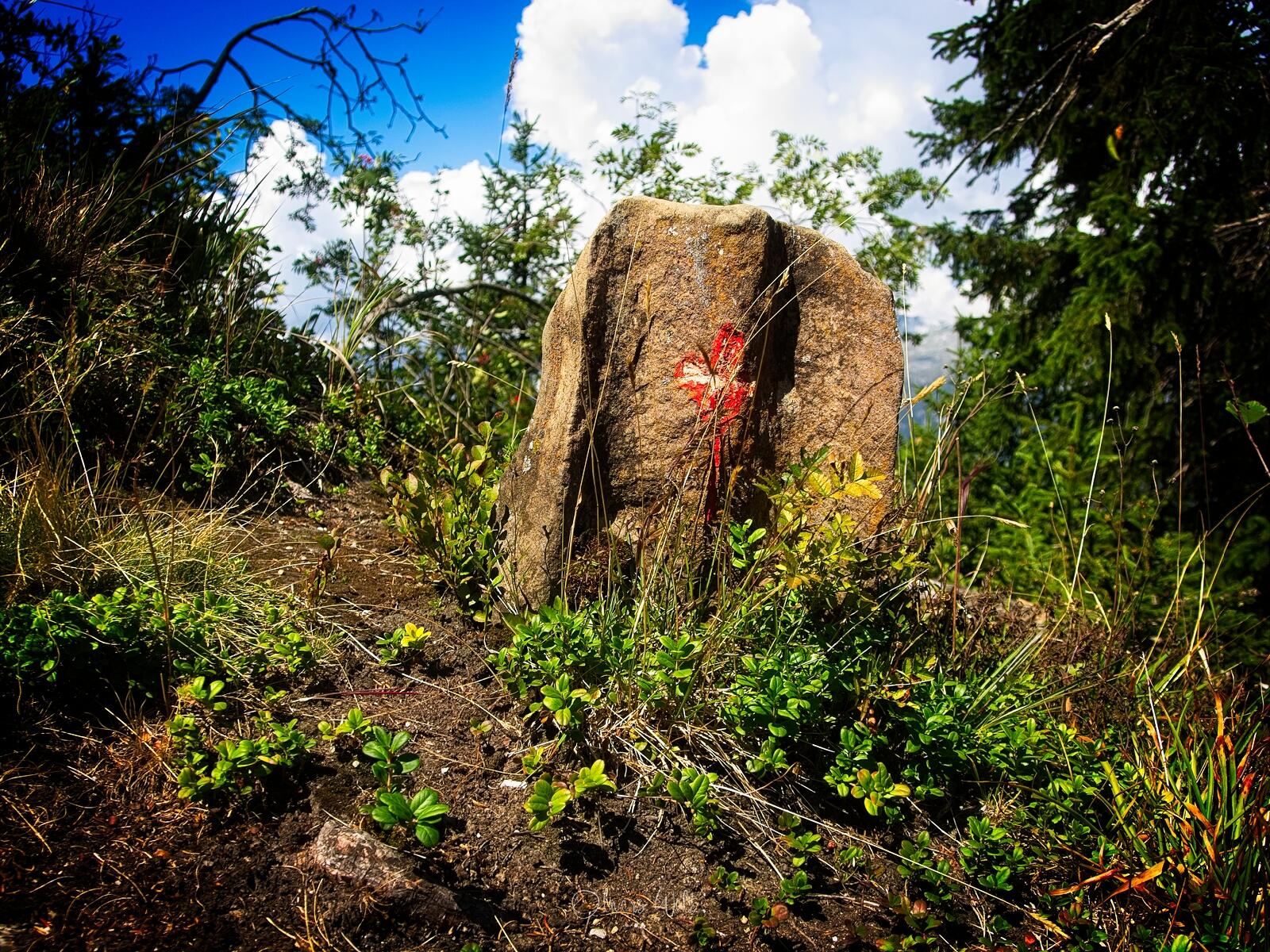 Bild ohne Beschreibung Bild ohne Beschreibung