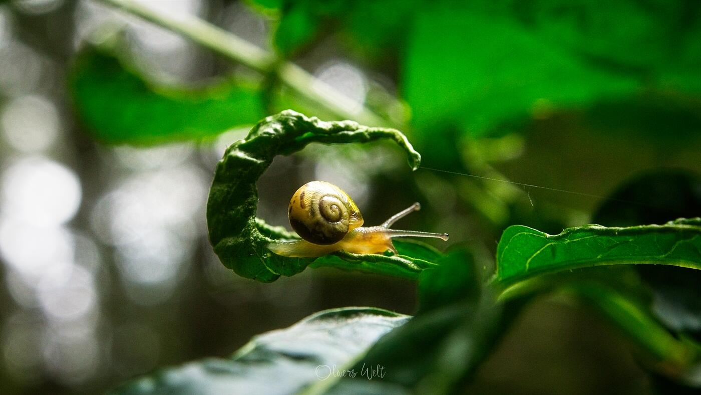 Bild ohne Beschreibung Bild ohne Beschreibung