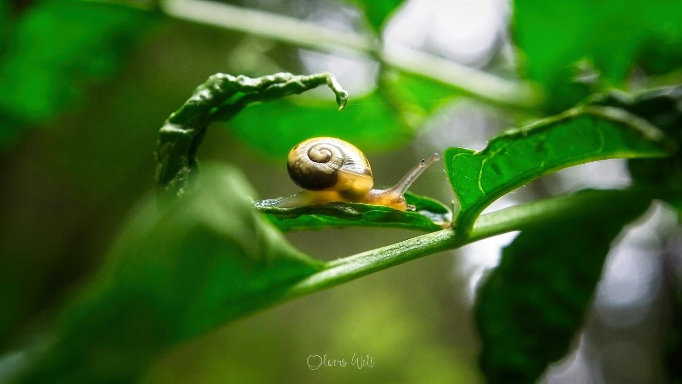 Bild ohne Beschreibung Bild ohne Beschreibung