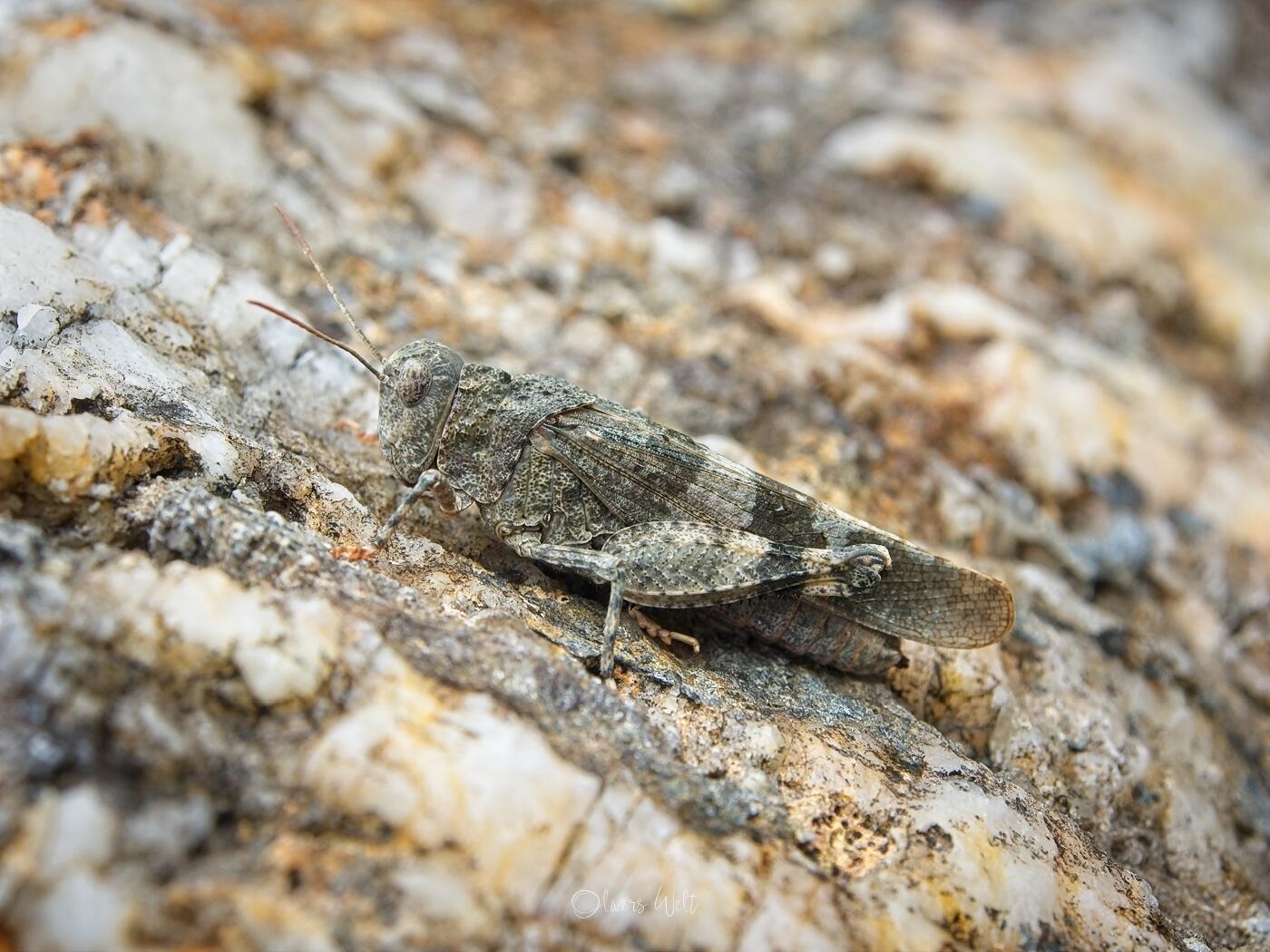 Bild ohne Beschreibung Bild ohne Beschreibung