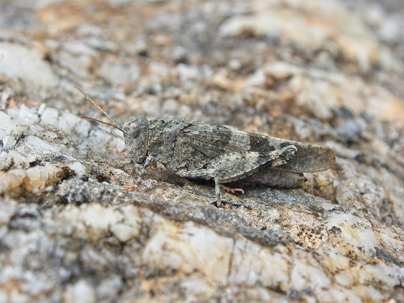 Bild ohne Beschreibung Bild ohne Beschreibung