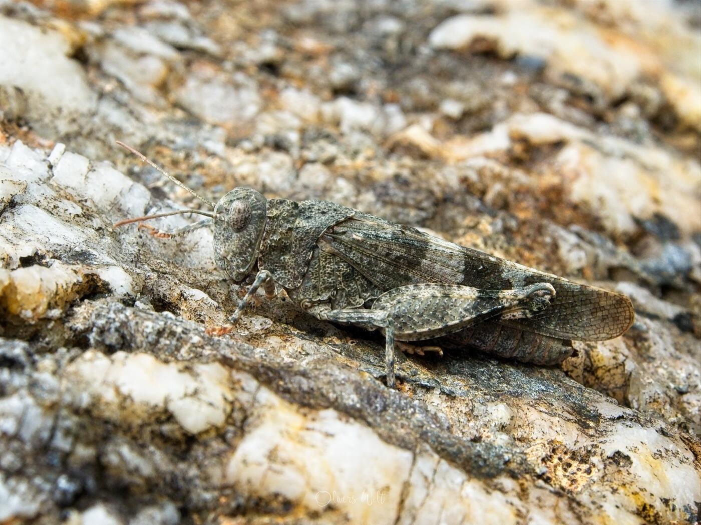 Bild ohne Beschreibung Bild ohne Beschreibung