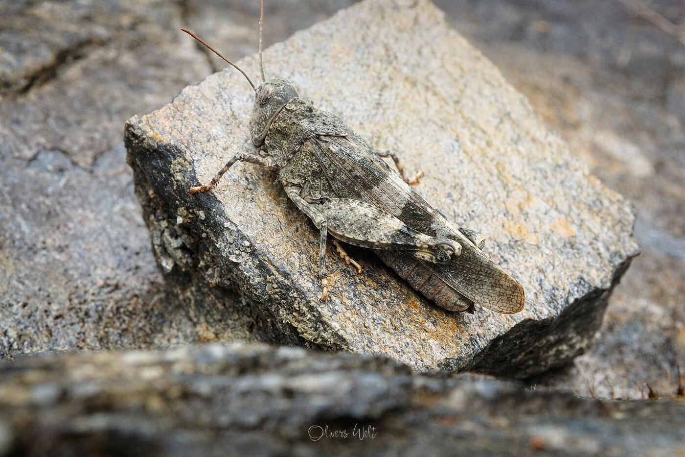 Bild ohne Beschreibung Bild ohne Beschreibung