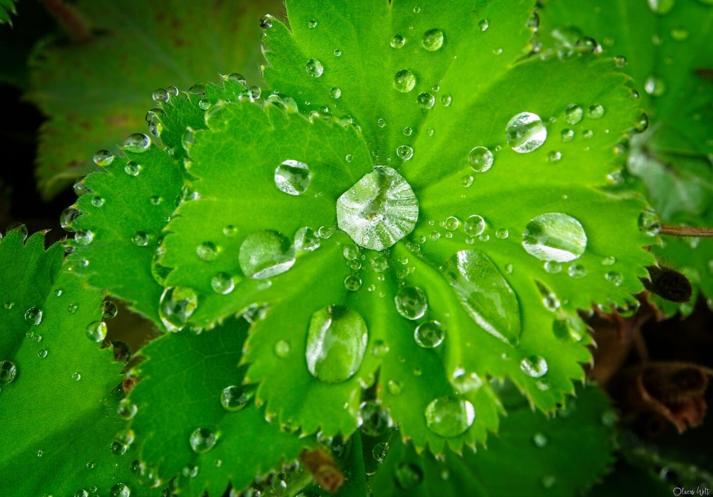 Bild ohne Beschreibung