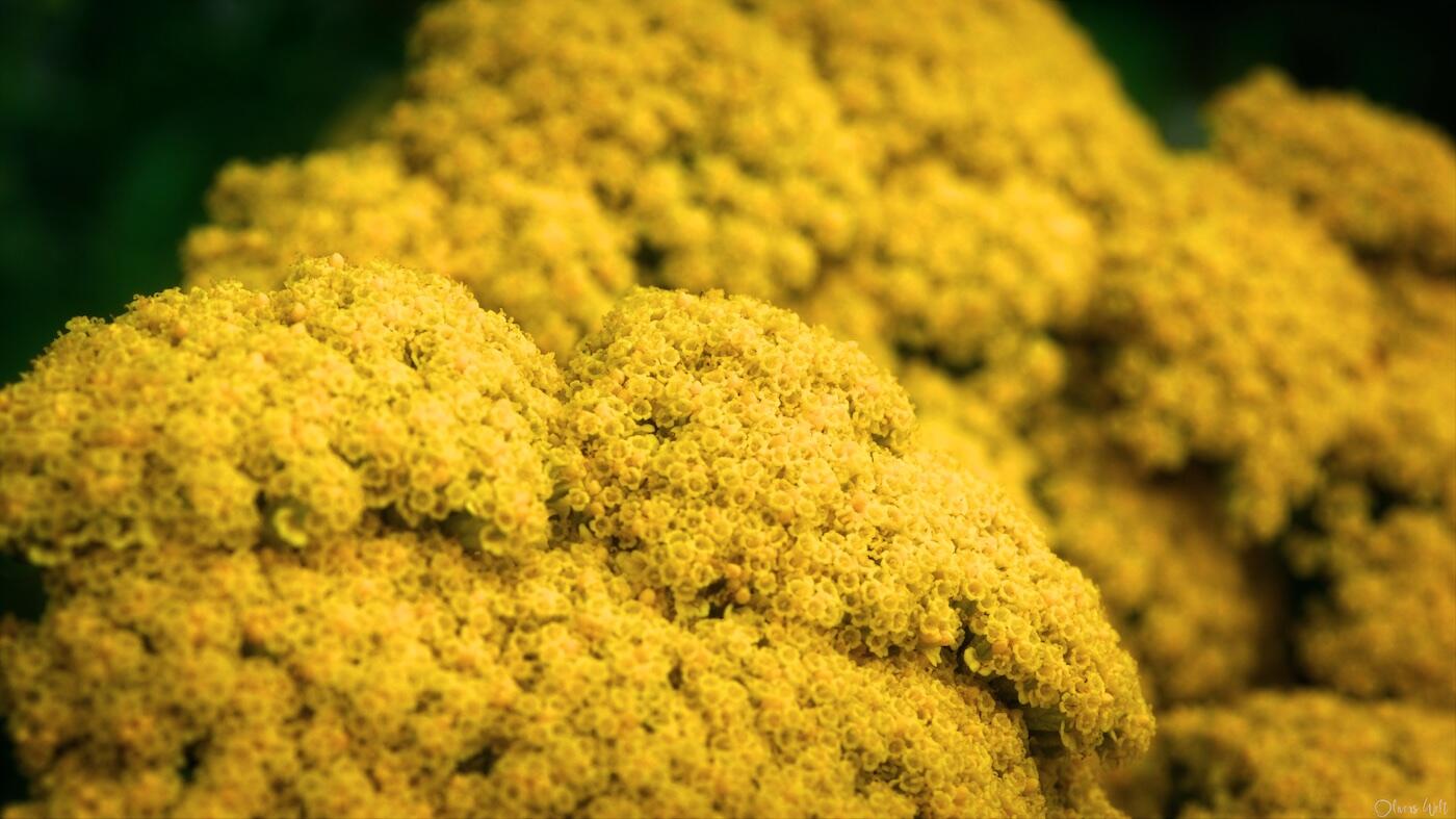 Bild ohne Beschreibung