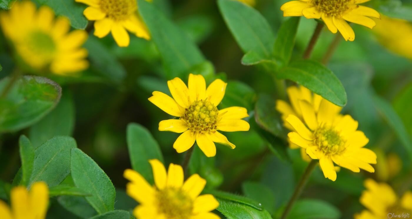 Bild ohne Beschreibung