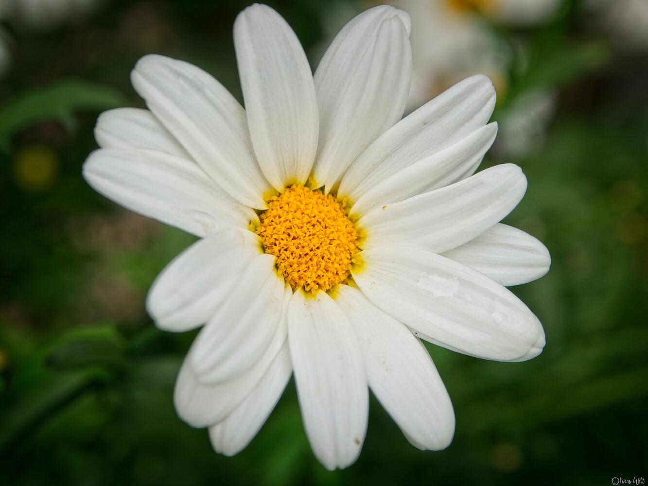 Bild ohne Beschreibung