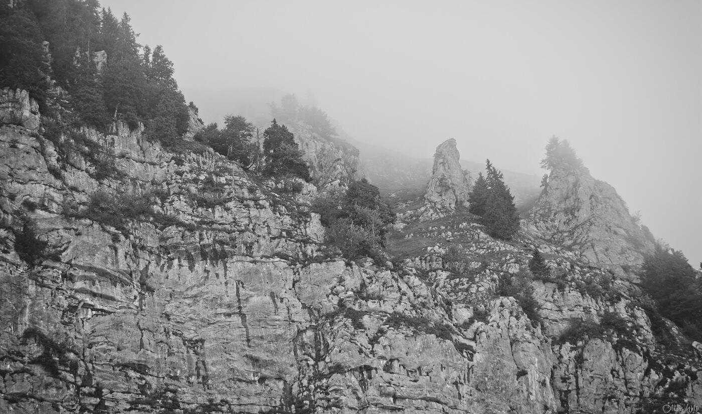 Bild ohne Beschreibung