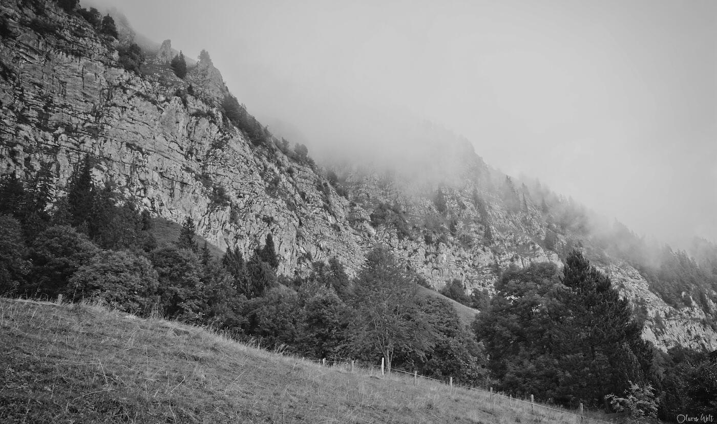 Bild ohne Beschreibung