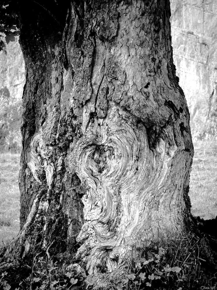 Bild ohne Beschreibung