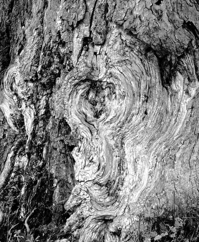 Bild ohne Beschreibung