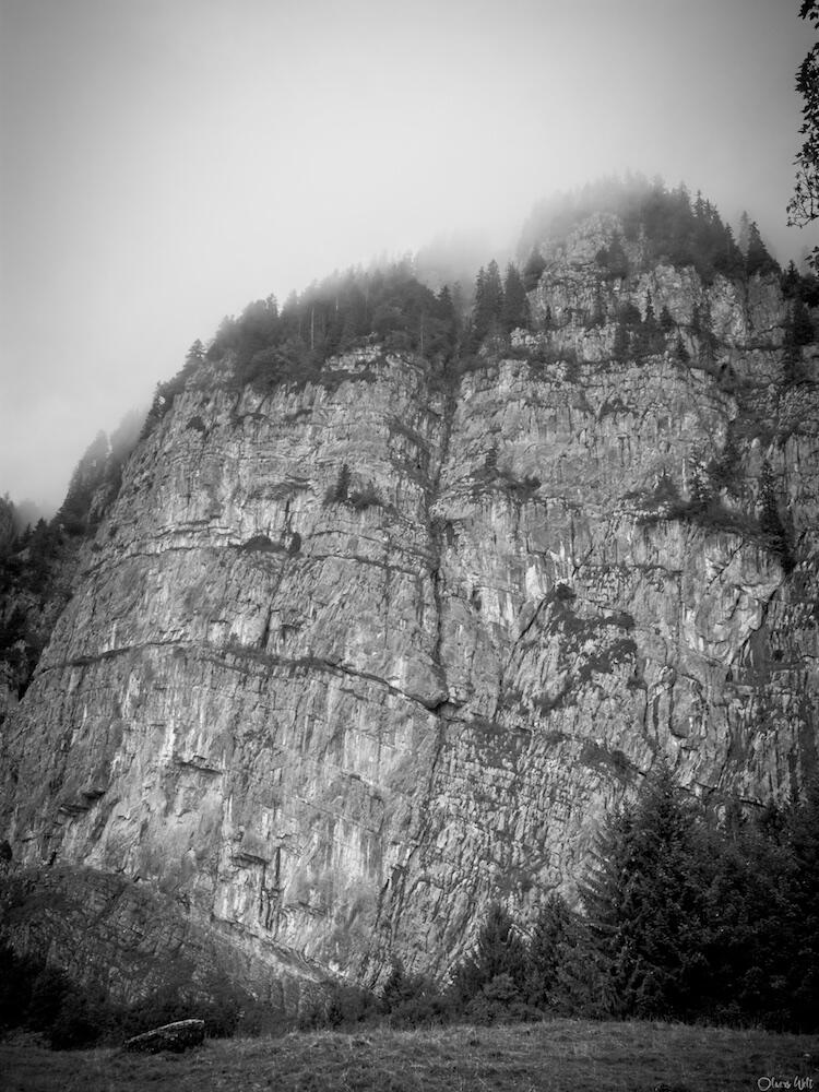 Bild ohne Beschreibung