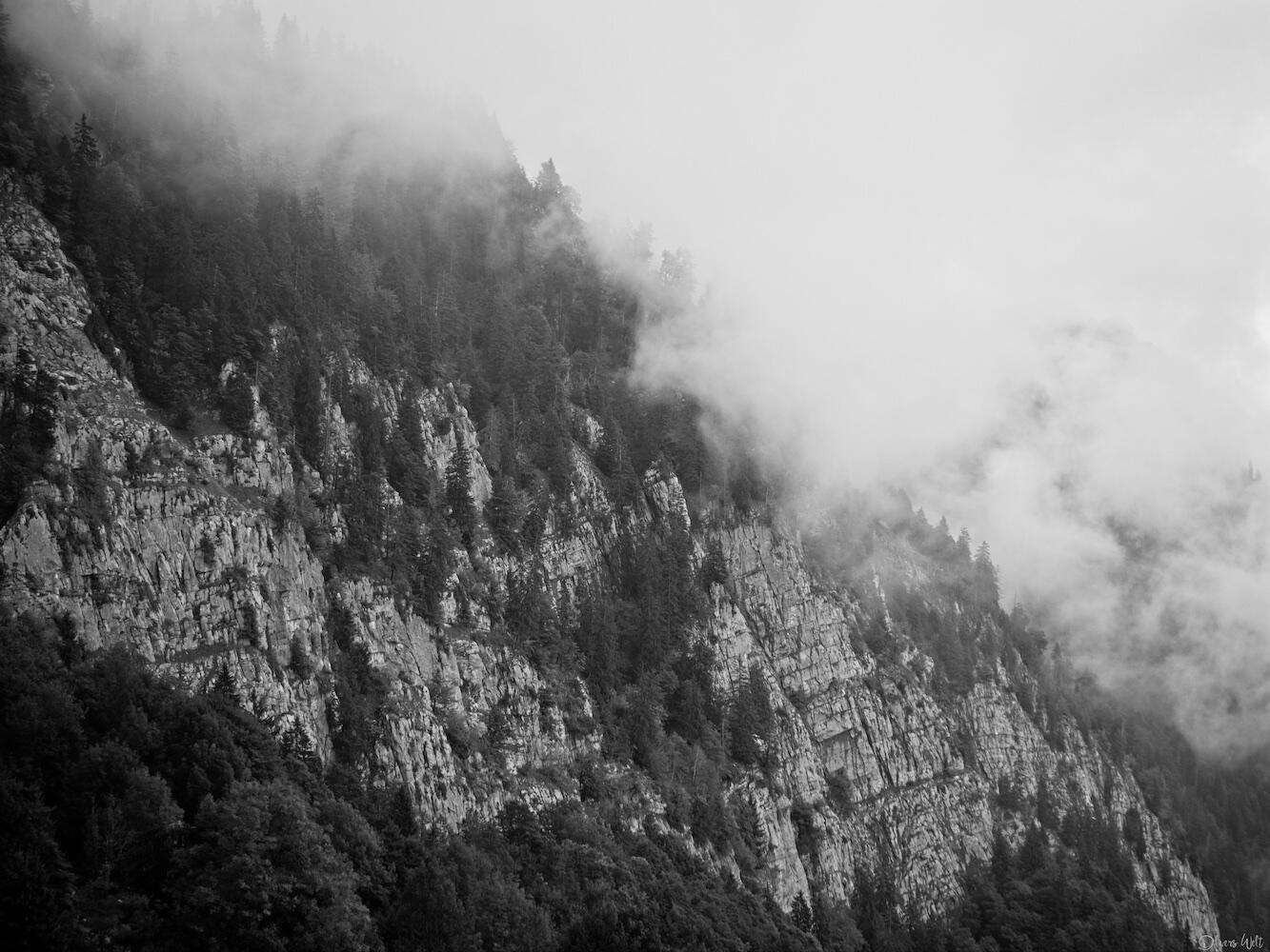 Bild ohne Beschreibung