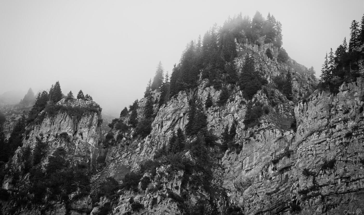 Bild ohne Beschreibung