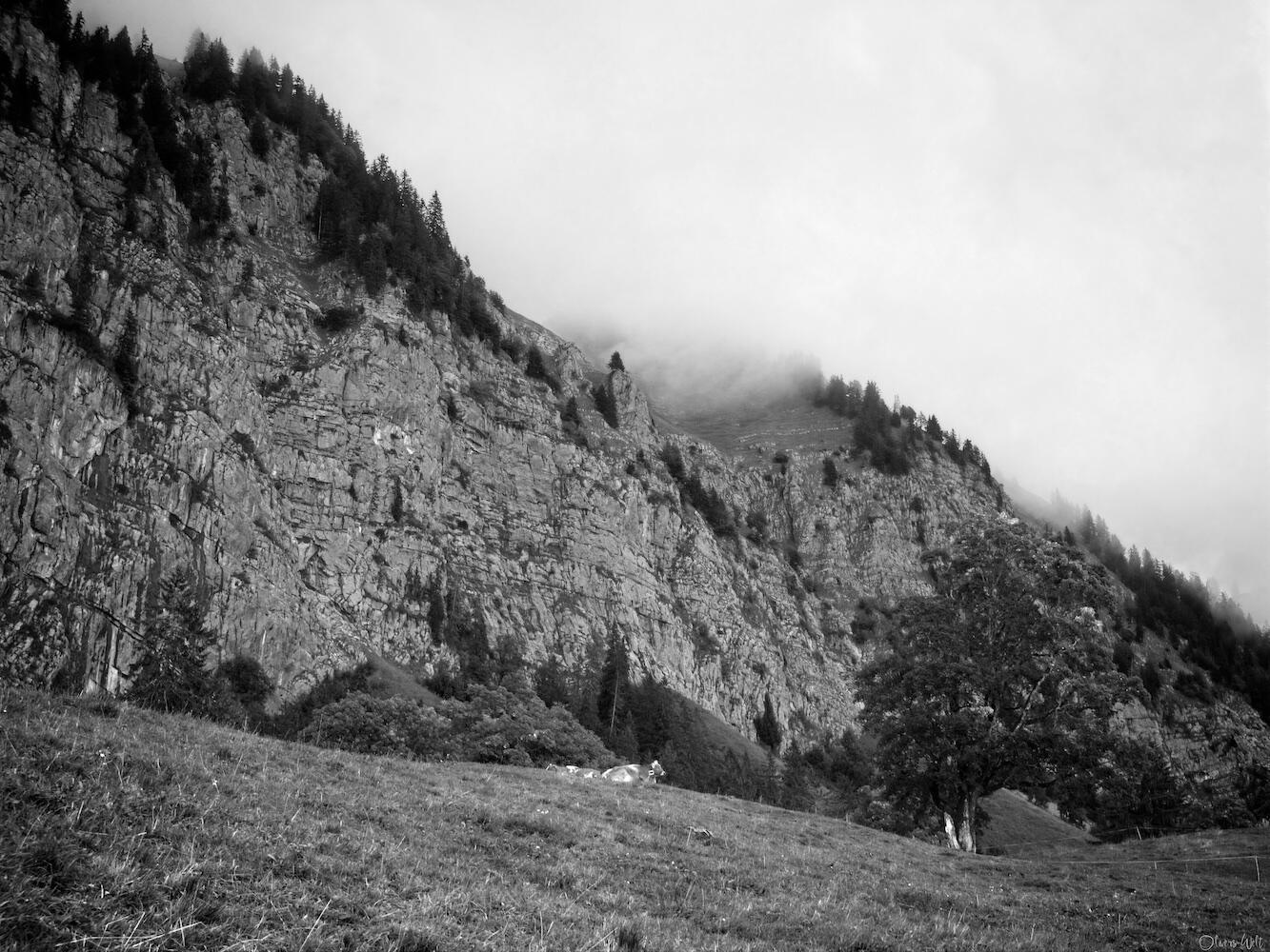 Bild ohne Beschreibung