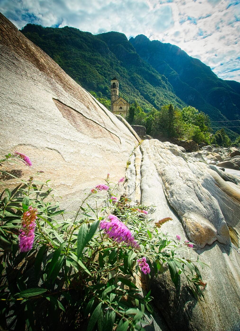 Bild ohne Beschreibung