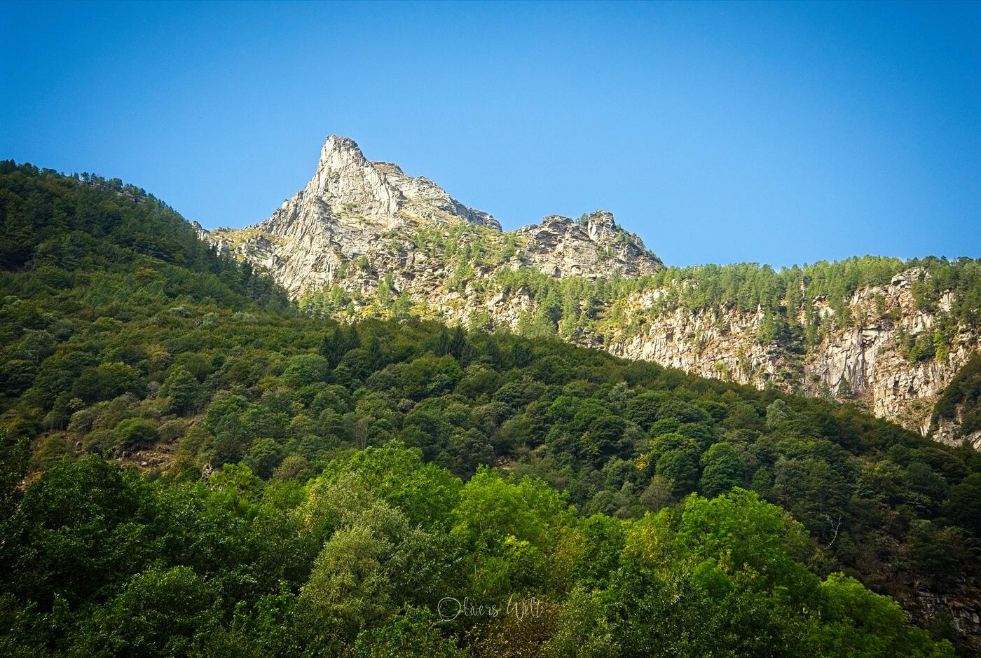 Bild ohne Beschreibung