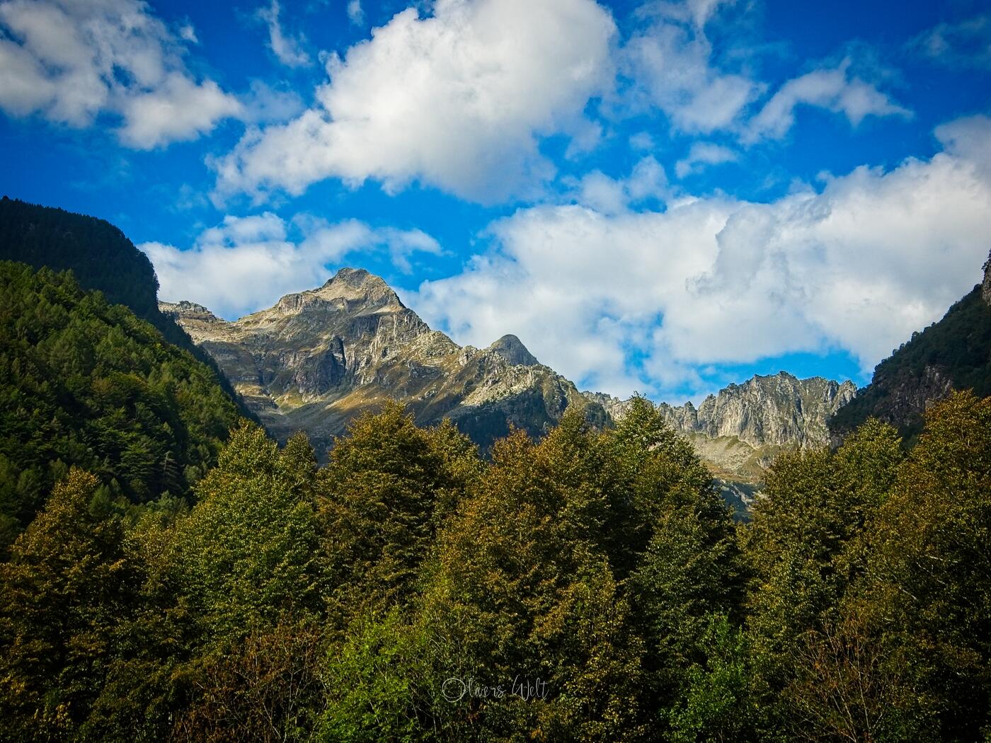 Bild ohne Beschreibung