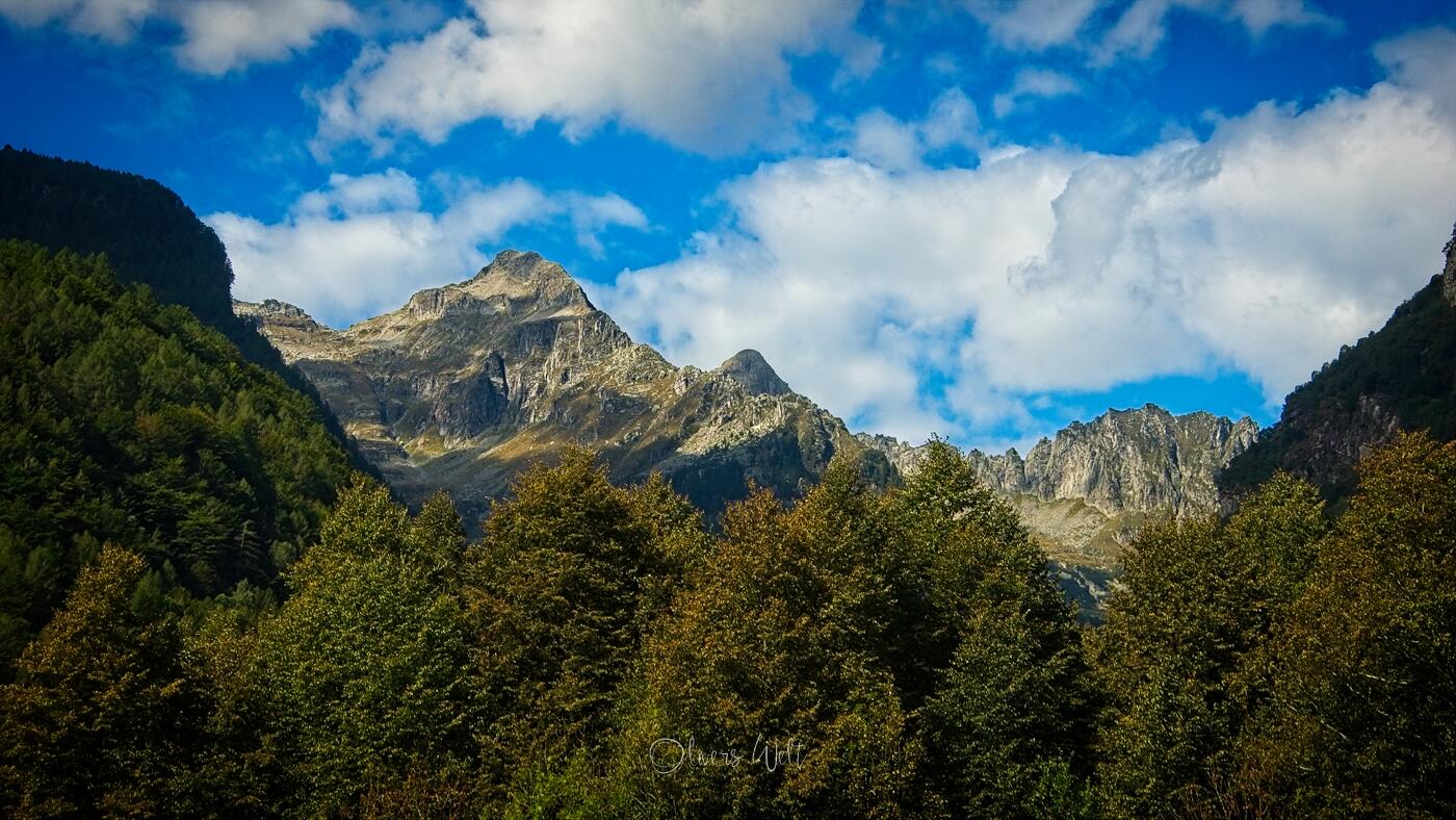 Bild ohne Beschreibung