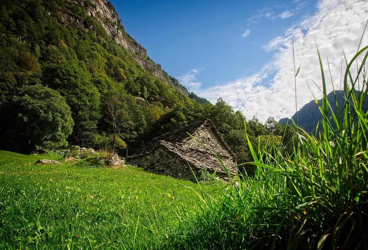 Bild ohne Beschreibung