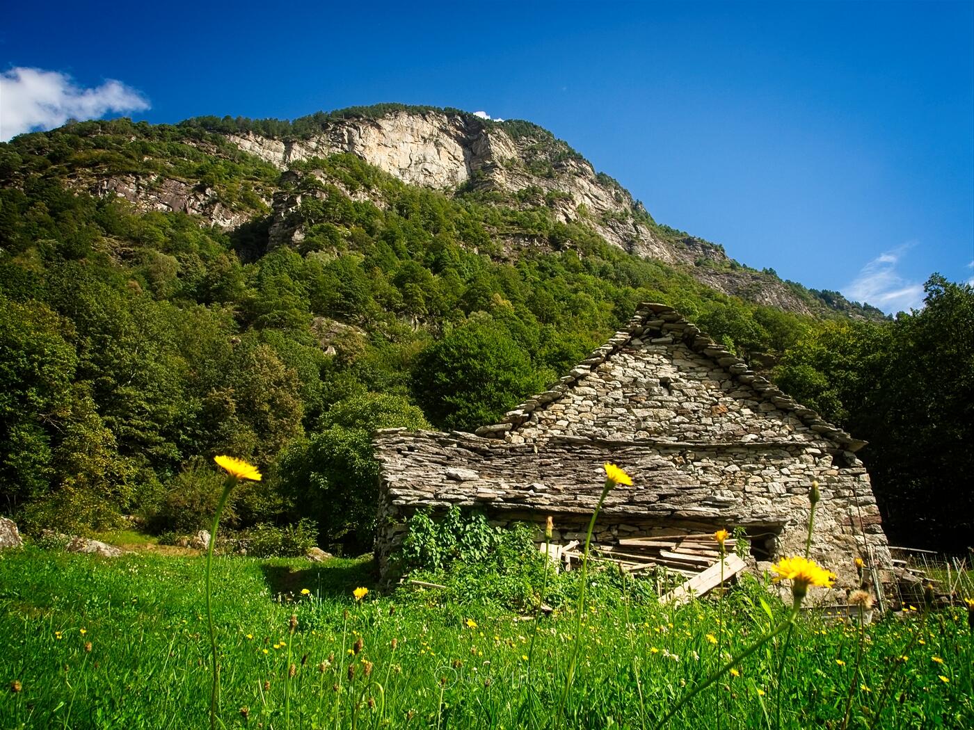 Bild ohne Beschreibung