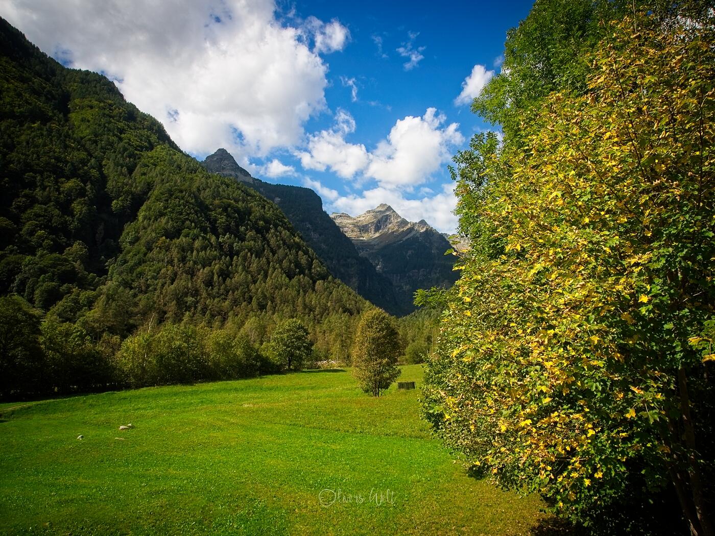 Bild ohne Beschreibung