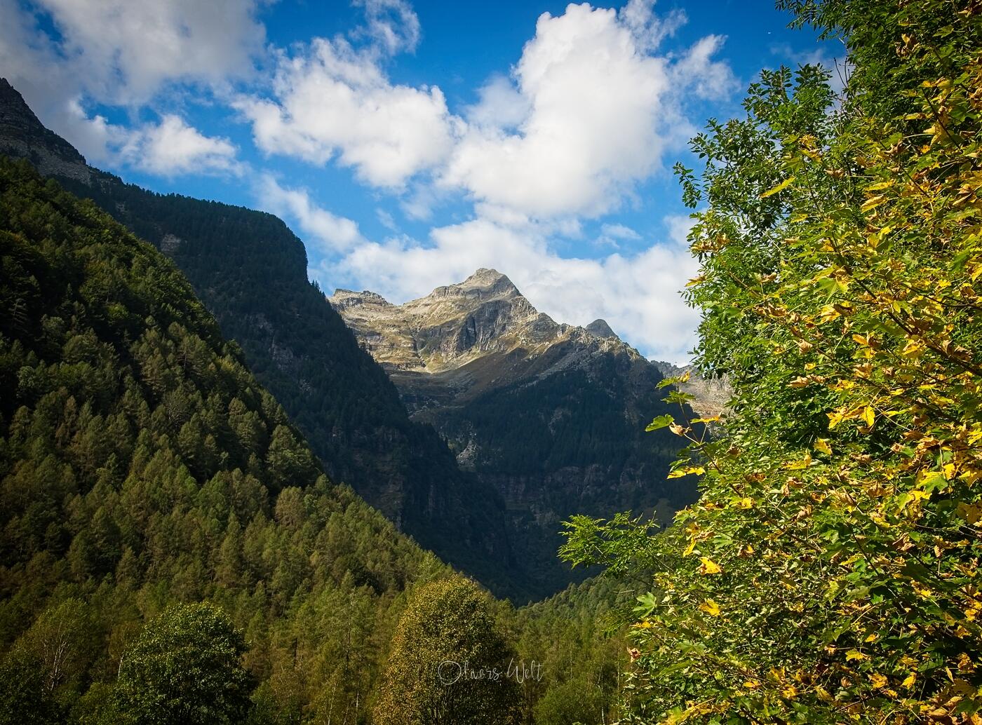 Bild ohne Beschreibung