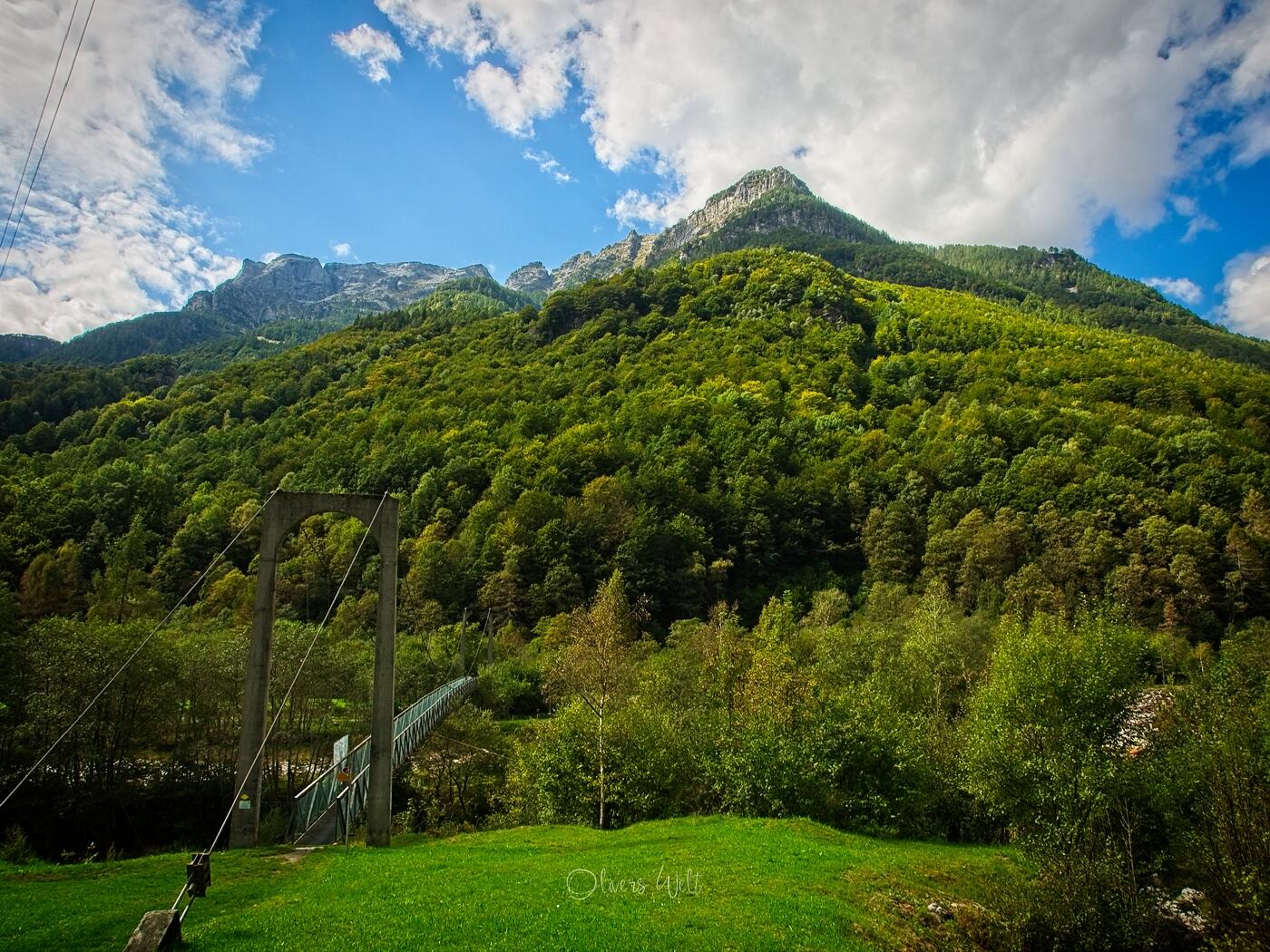 Bild ohne Beschreibung