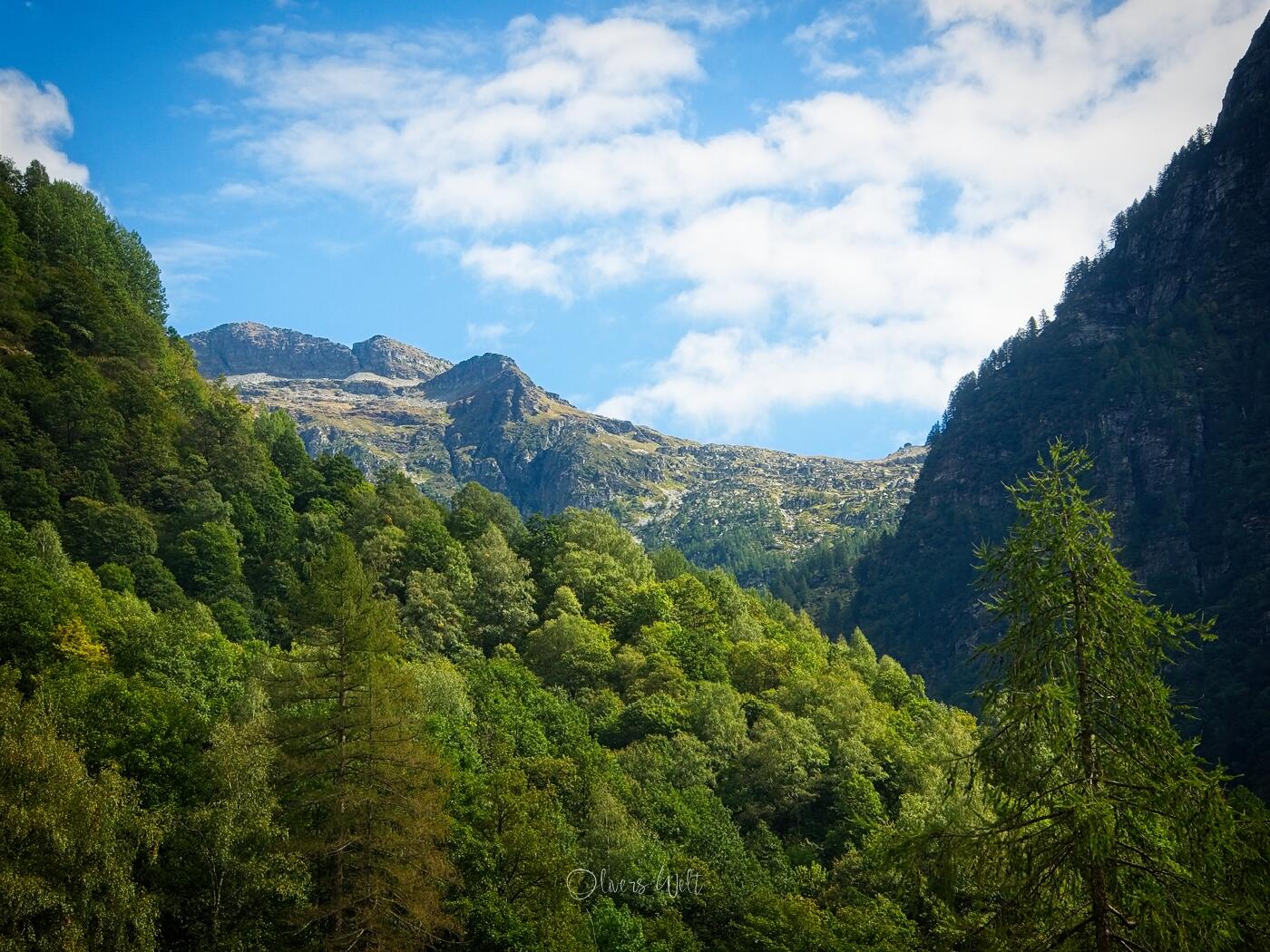 Bild ohne Beschreibung