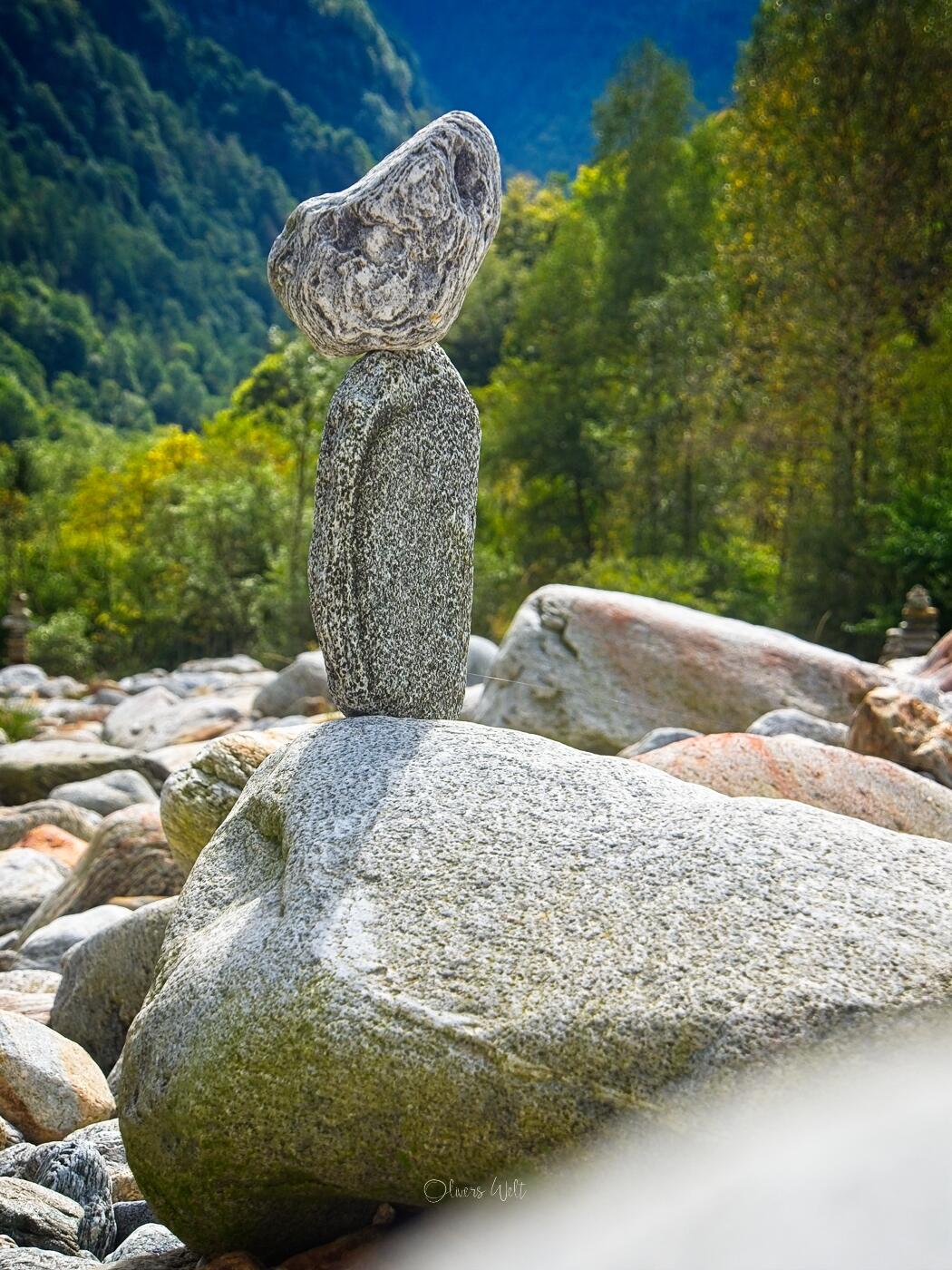 Bild ohne Beschreibung