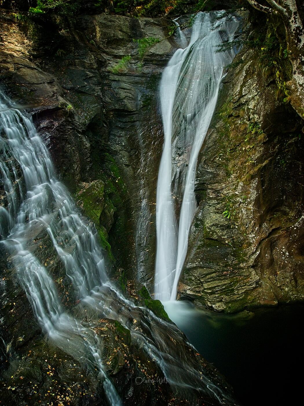 Bild ohne Beschreibung