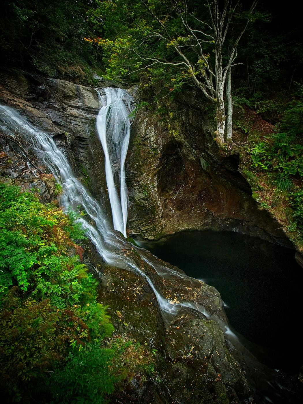 Bild ohne Beschreibung