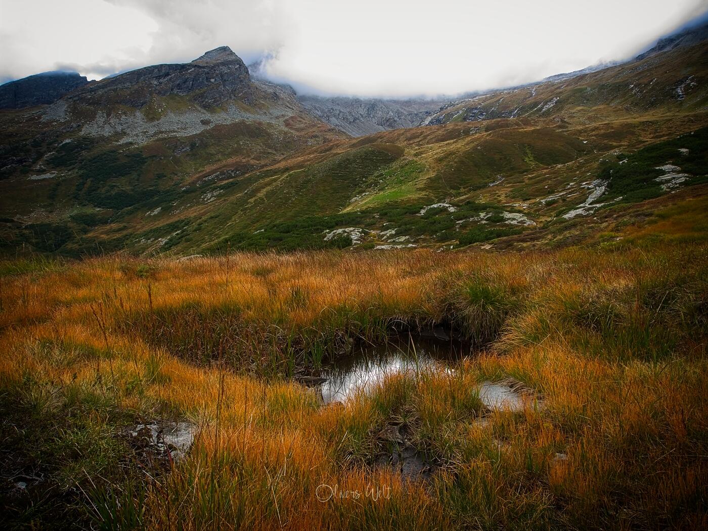 Bild ohne Beschreibung