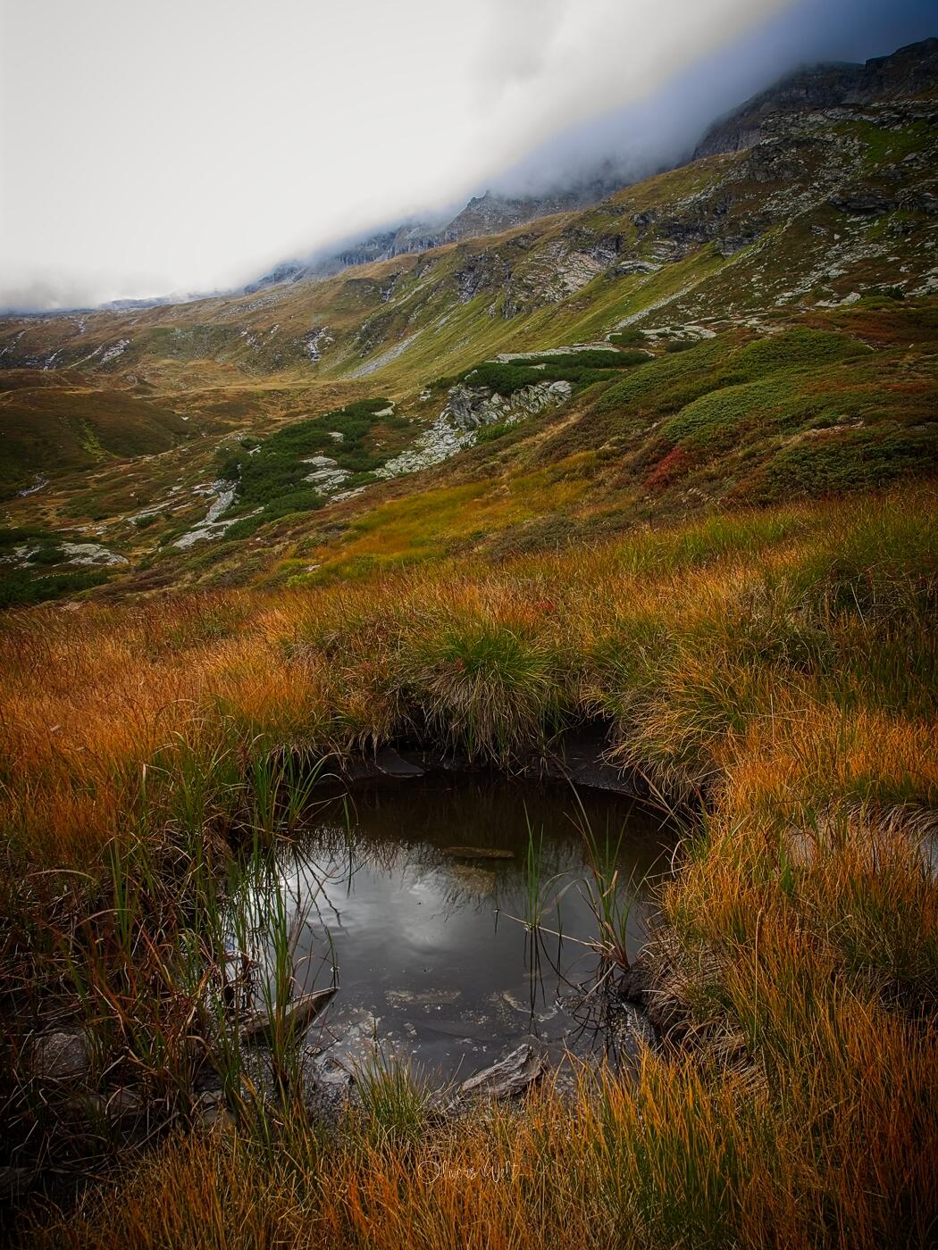 Bild ohne Beschreibung