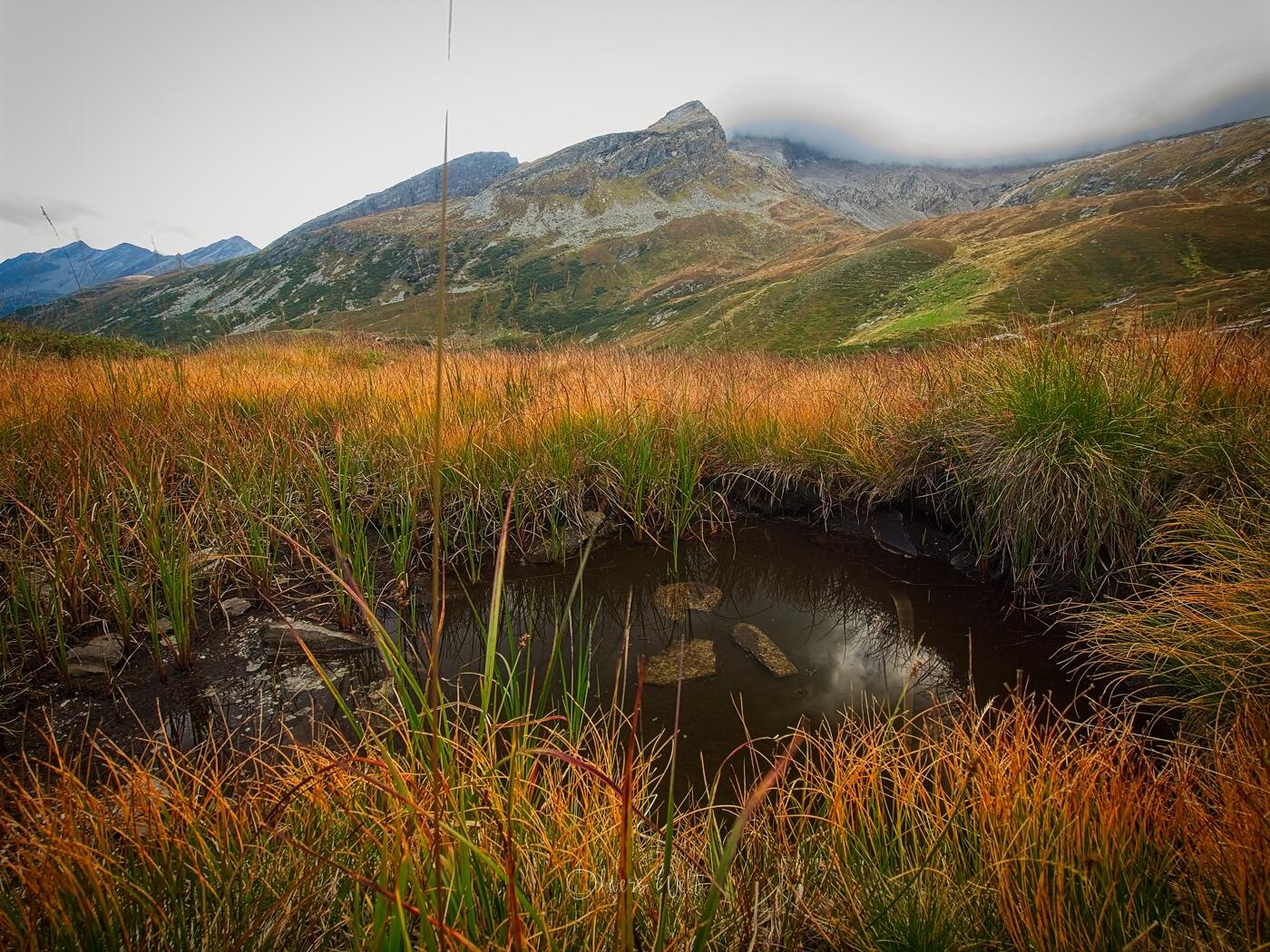 Bild ohne Beschreibung