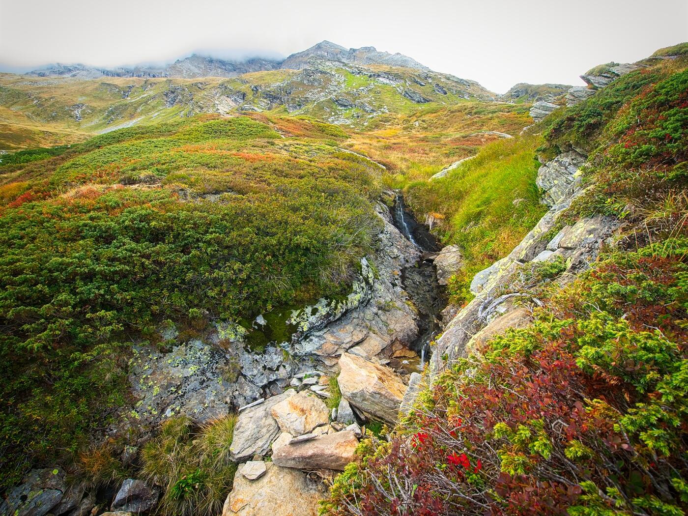 Bild ohne Beschreibung