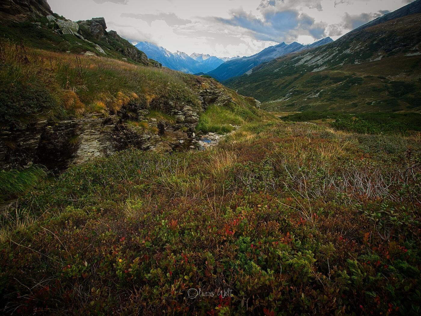 Bild ohne Beschreibung