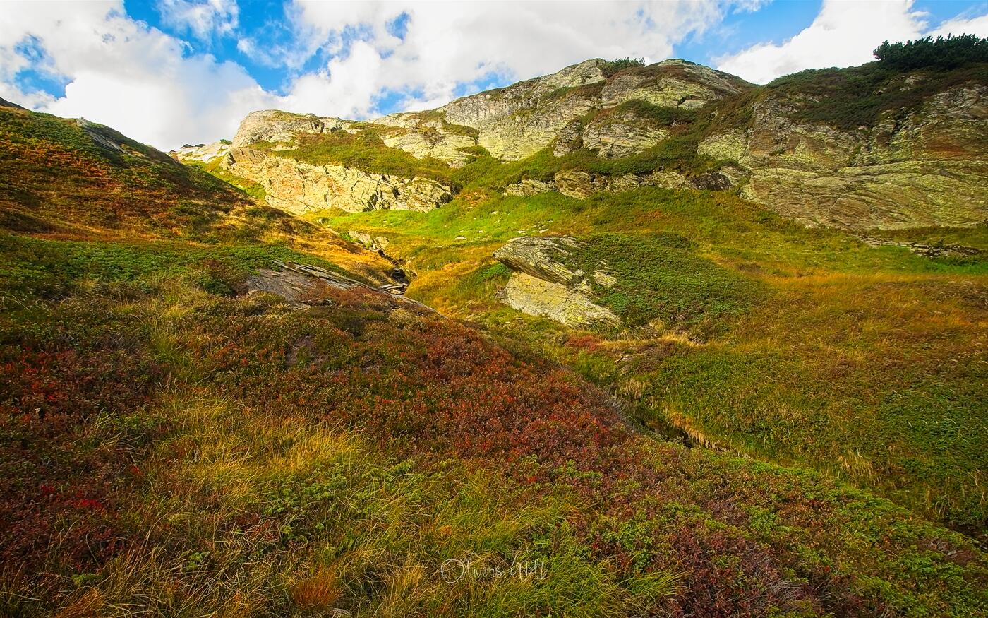 Bild ohne Beschreibung