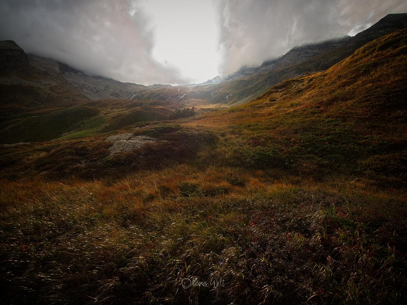 Bild ohne Beschreibung