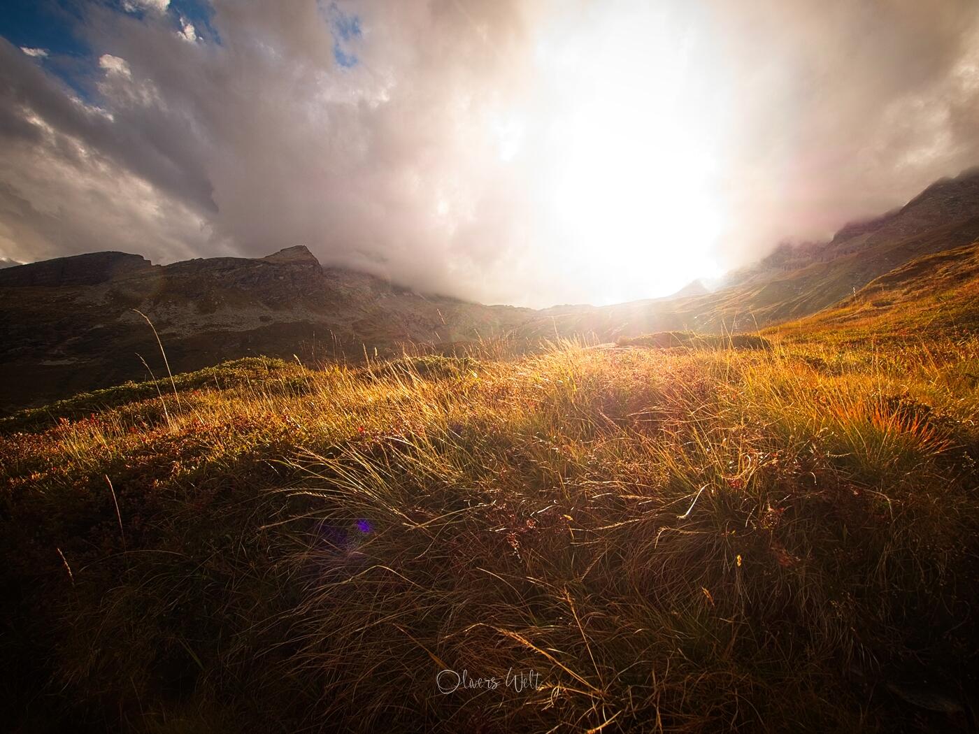 Bild ohne Beschreibung