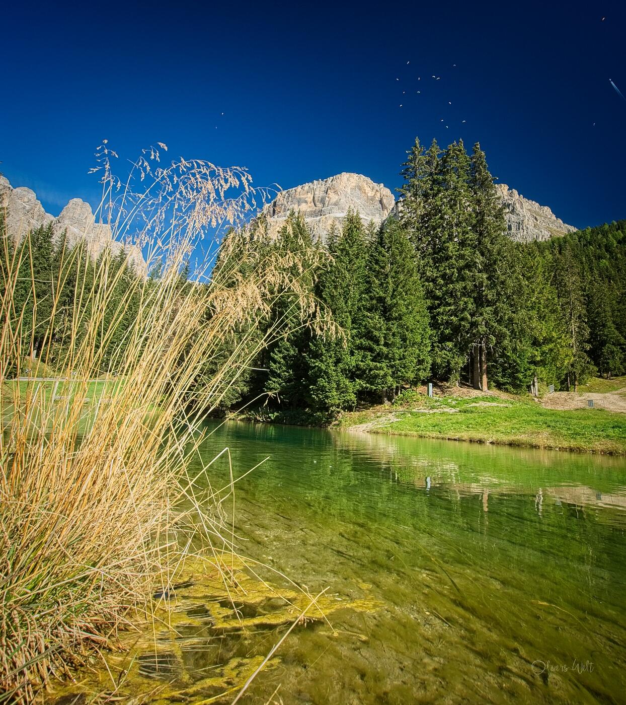 Bild ohne Beschreibung