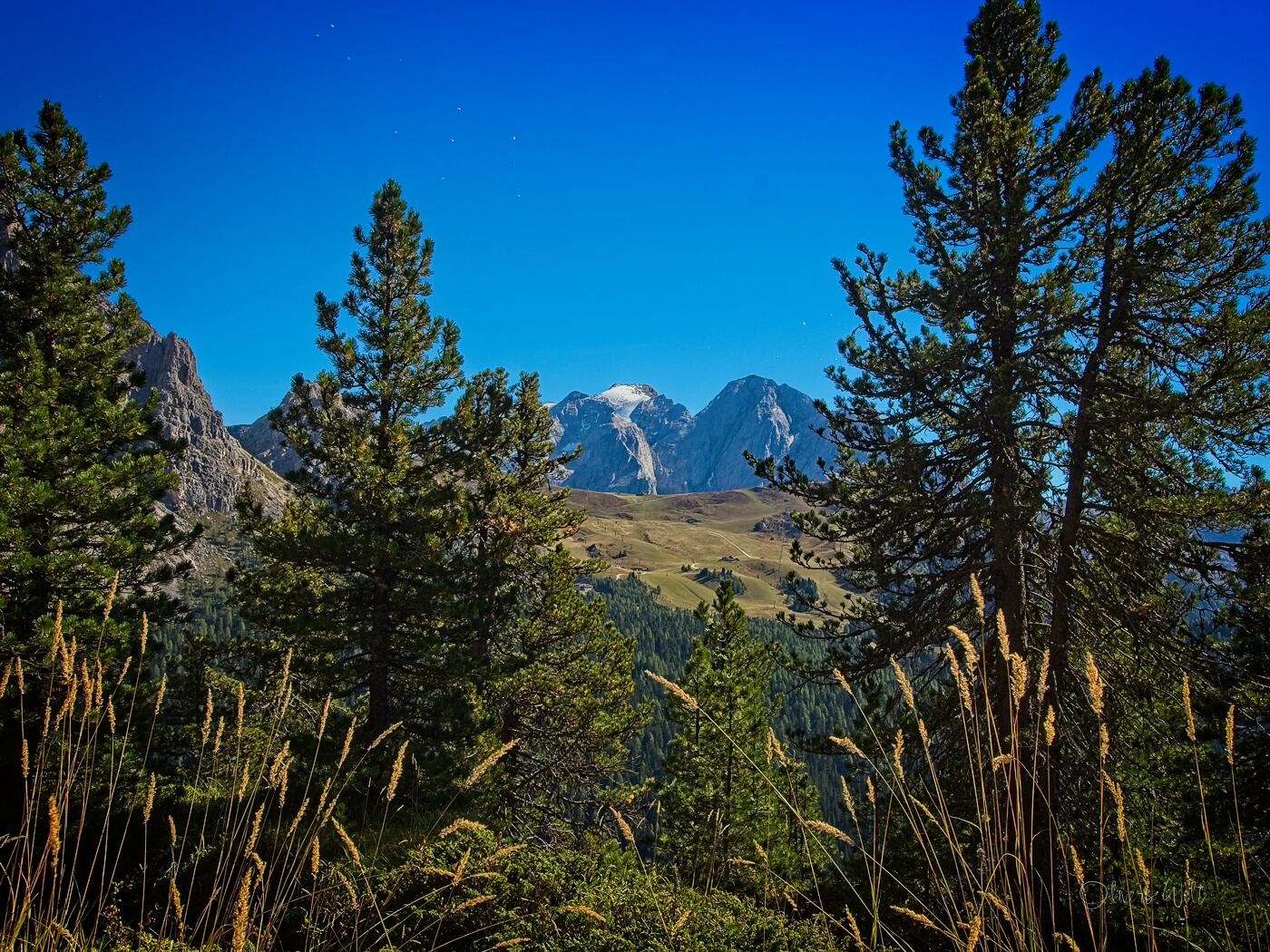 Bild ohne Beschreibung