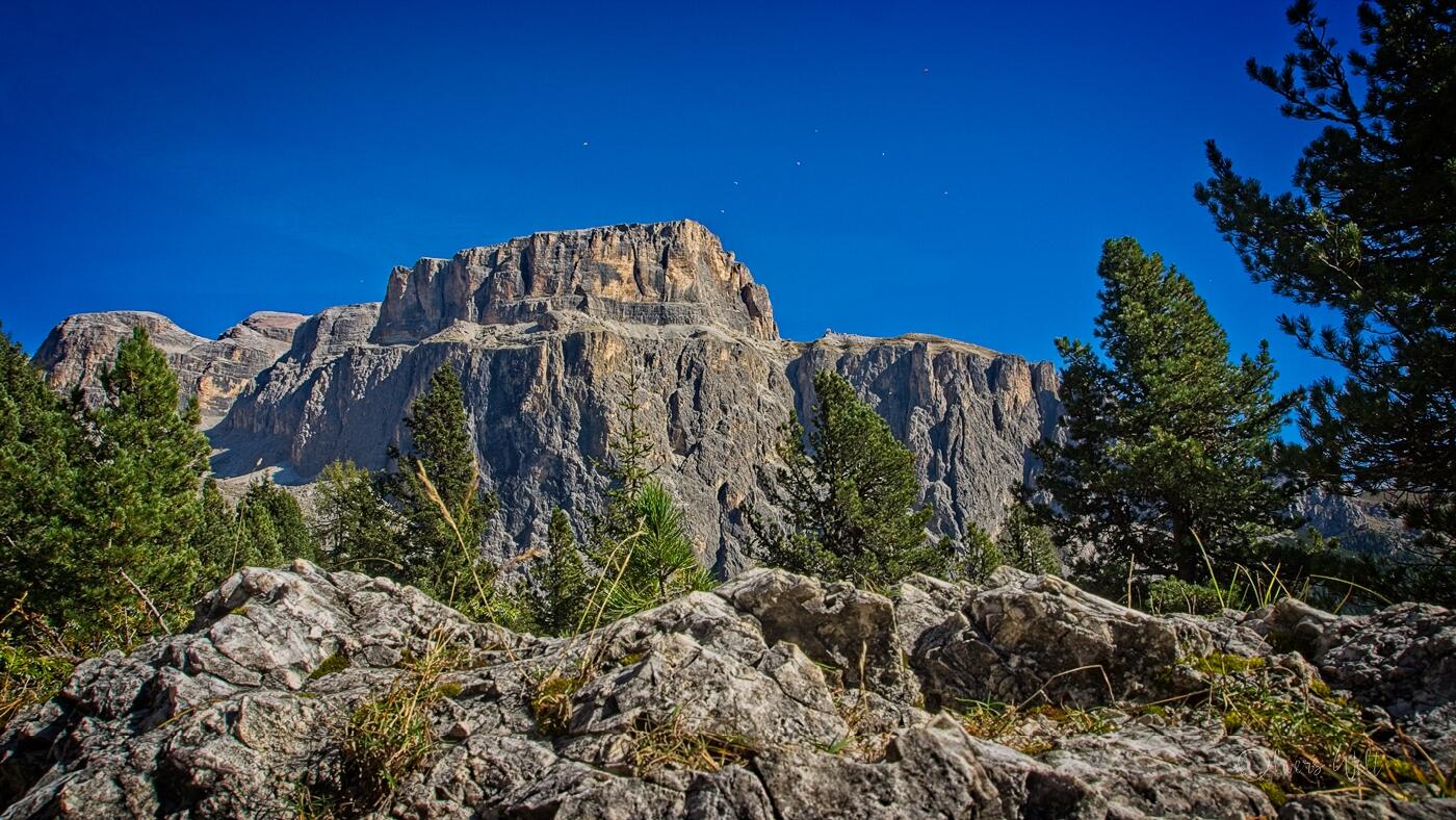 Bild ohne Beschreibung