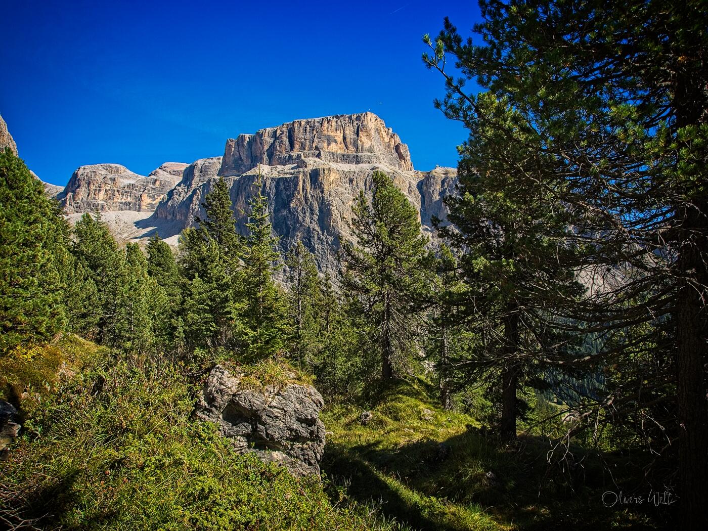 Bild ohne Beschreibung