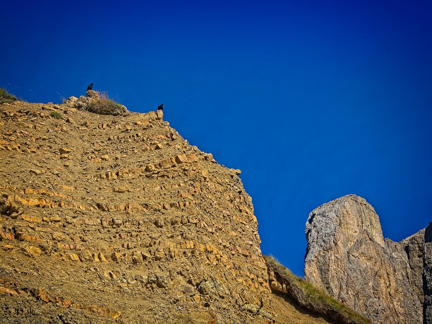 Bild ohne Beschreibung