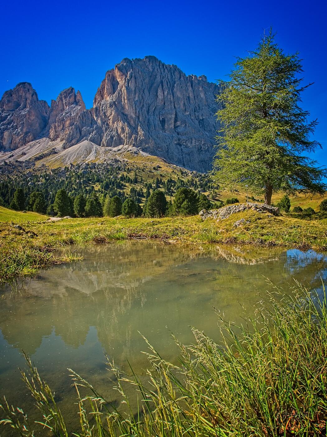 Bild ohne Beschreibung