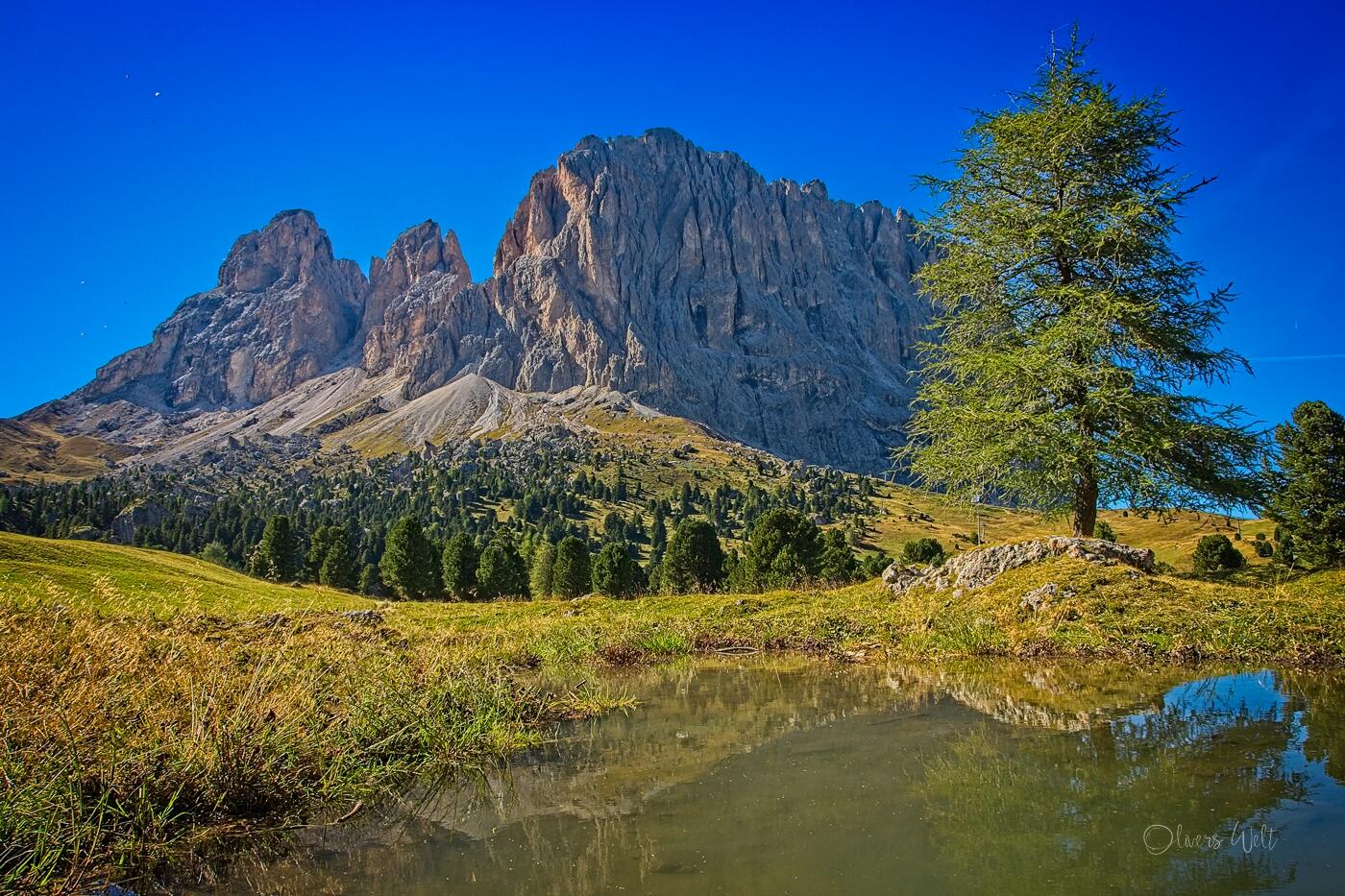 Bild ohne Beschreibung