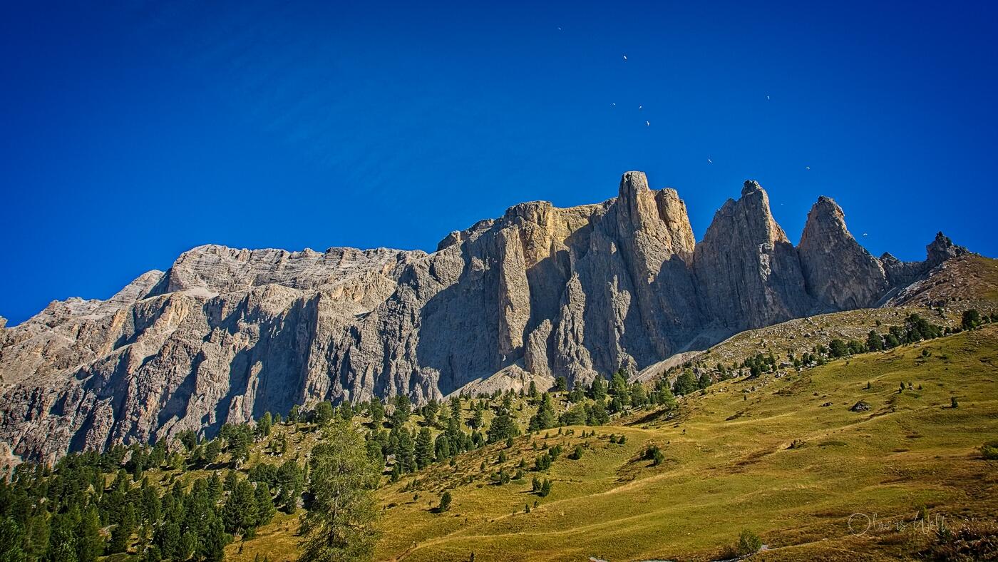 Bild ohne Beschreibung